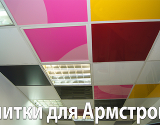 Наша Выставка